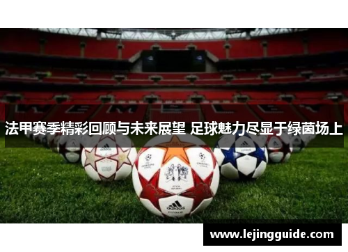 法甲赛季精彩回顾与未来展望 足球魅力尽显于绿茵场上