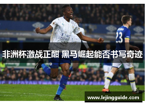 非洲杯激战正酣 黑马崛起能否书写奇迹